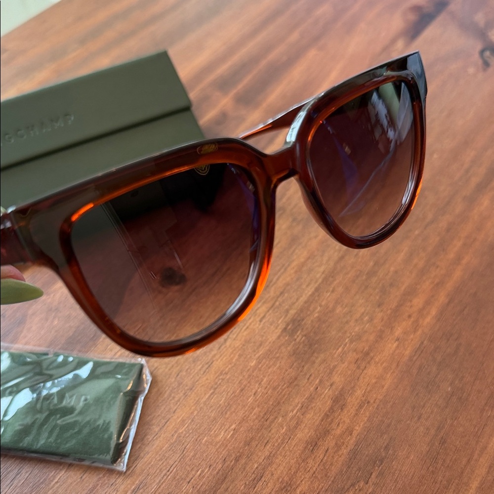 Longchamp Transparent Rust Sunglasses - image 7